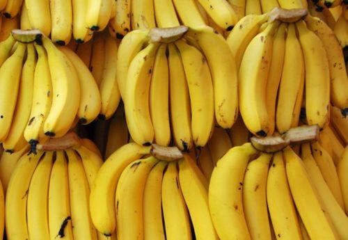 精品香蕉五百视频