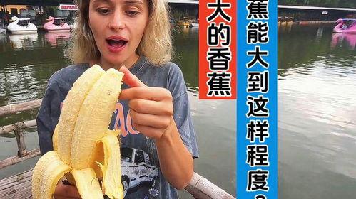 大香蕉成人免费视频,内容概览与争议解析