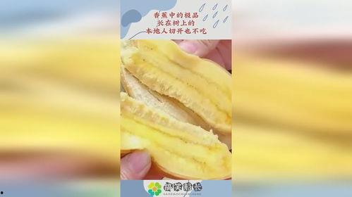 香蕉精品不卡